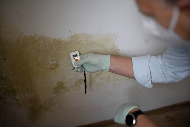 Crawl Space Mold Removal in Eyota, MN