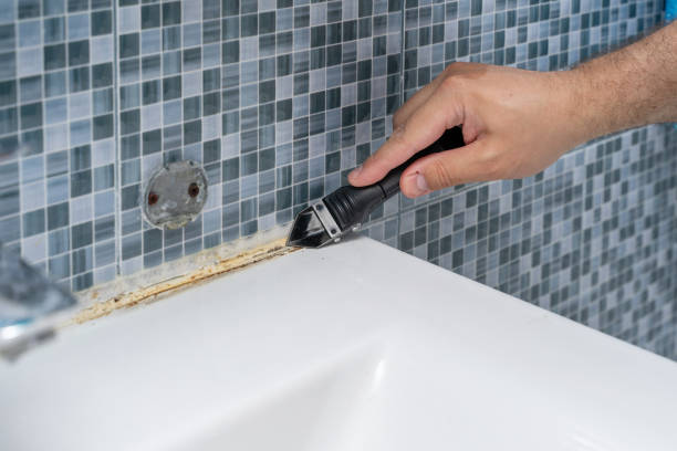 Mold Removal Process in Eyota, MN